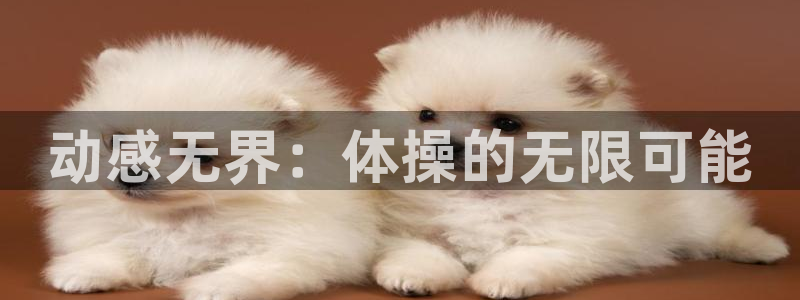 九球体育下载：动感无界：体操的无限可能