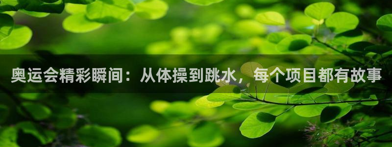 九球体育英超：奥运会精彩瞬间：从体操到跳水，每个项目都有故事
