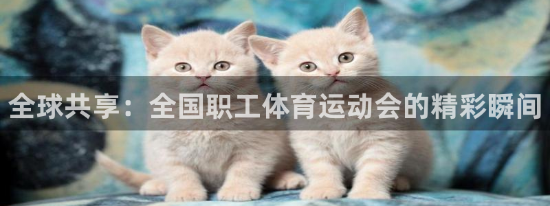九球体育小仙儿直播：全球共享：全国职工体育运动会的精彩瞬间