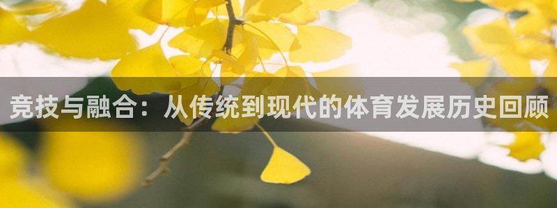九球体育nba：竞技与融合：从传统到现代的体育发展历史回顾