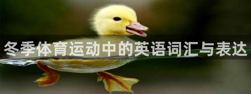九球体育和那个台子合作的：冬季体育运动中的英语词汇与表达
