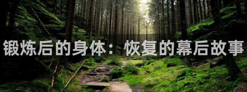 九球体育苹果版下载：锻炼后的身体：恢复的幕后故事
